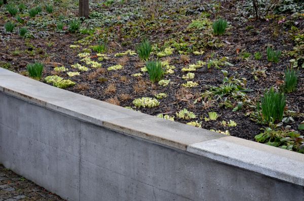 Cost of Concrete Wall Construction in Montgomery