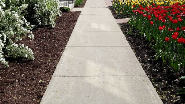 Cost of Cement Sidewalk Installation in Montgomery