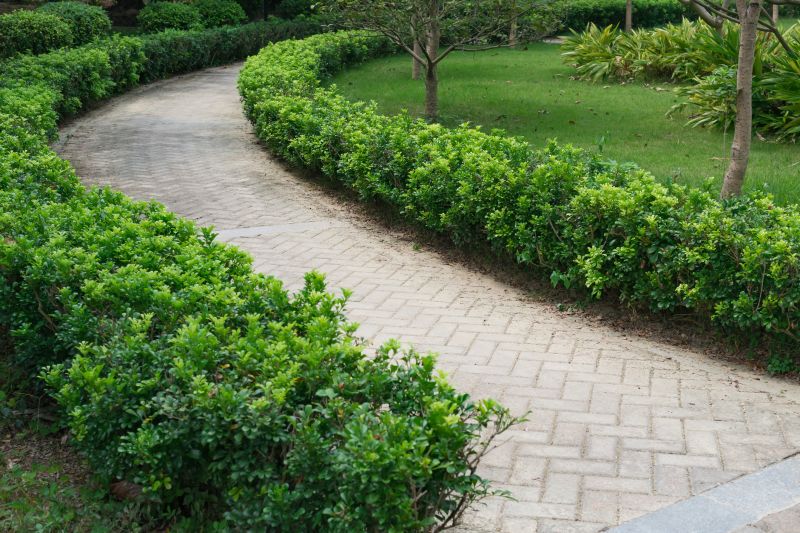 Paved Pathway Service